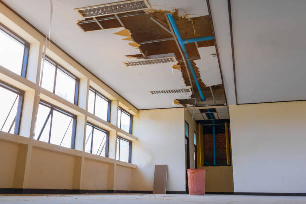 Best Water damage restoration process  in Kettle Falls, WA