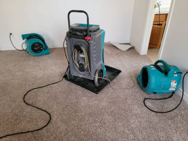 Best Water damage restoration near me  in Kettle Falls, WA