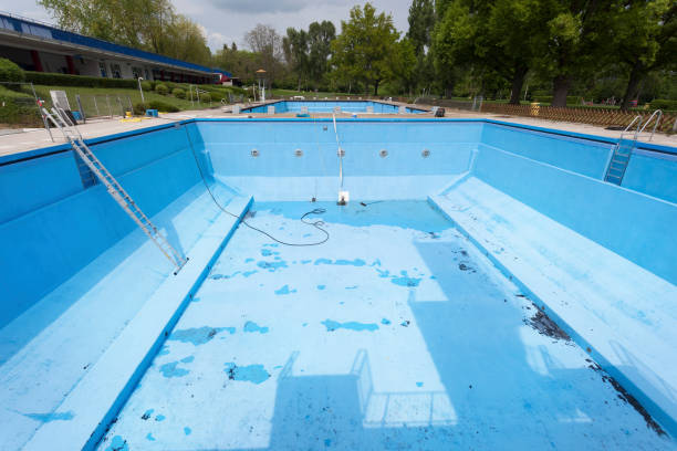 Best Basement water damage restoration  in Kettle Falls, WA
