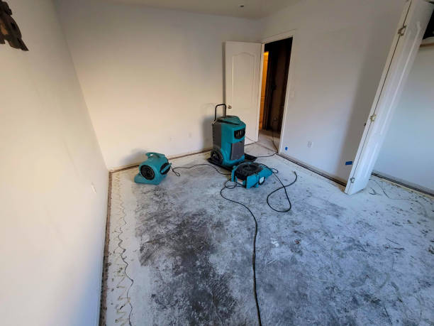 Best Local water damage restoration  in Kettle Falls, WA