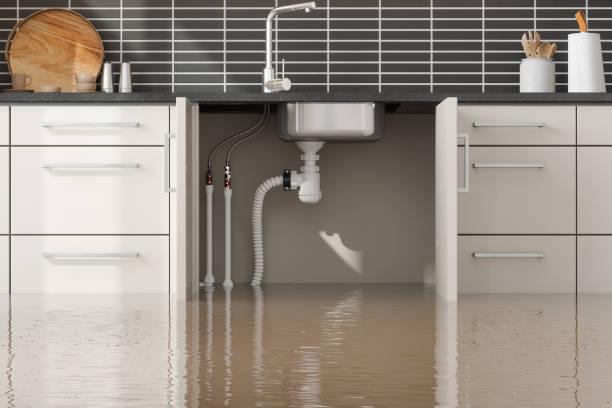Best Water damage contractors near me  in Kettle Falls, WA