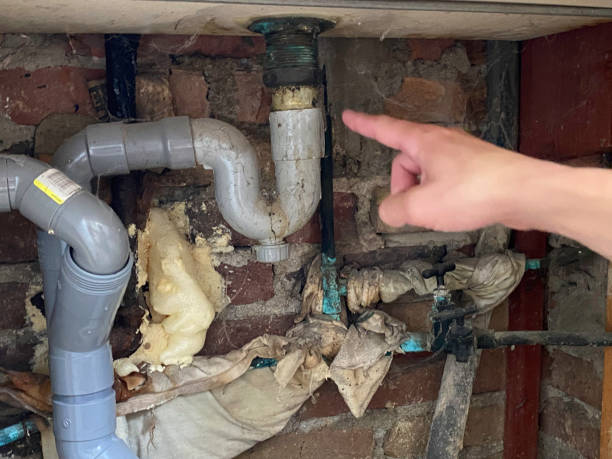 Best Basement water damage restoration  in Kettle Falls, WA